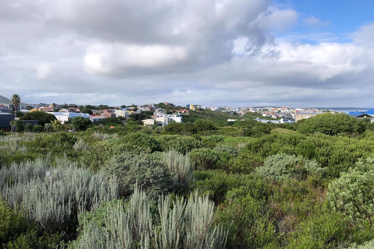 A scenic view overlooking the surrounding residential neighborhood and natural coastal vegetation.