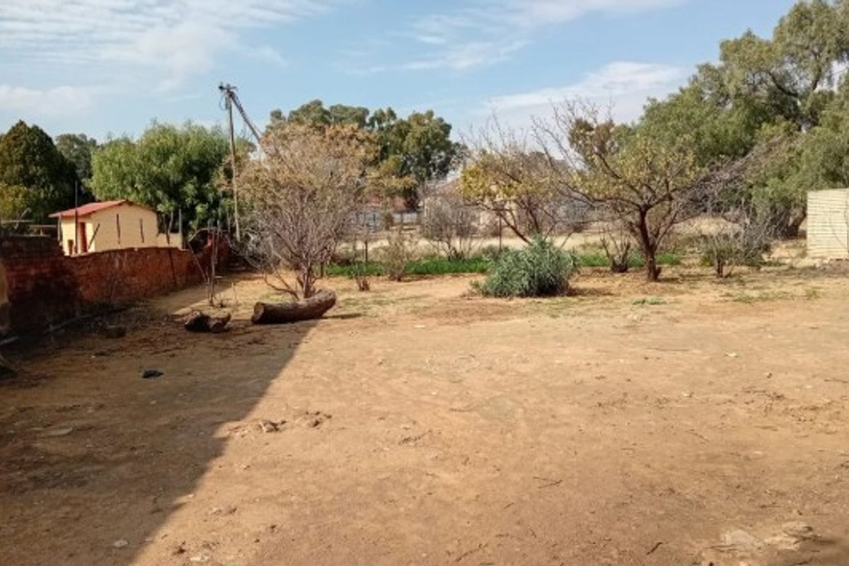 A spacious, undeveloped residential plot featuring a brick boundary wall, mature trees, and open ground, offering potential for landscaping or future development.
