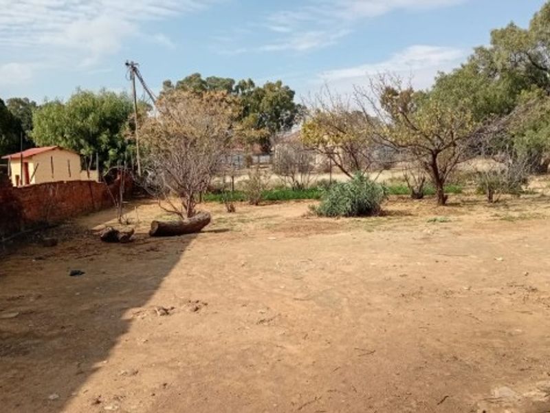 A spacious, undeveloped residential plot featuring a brick boundary wall, mature trees, and open ground, offering potential for landscaping or future development.