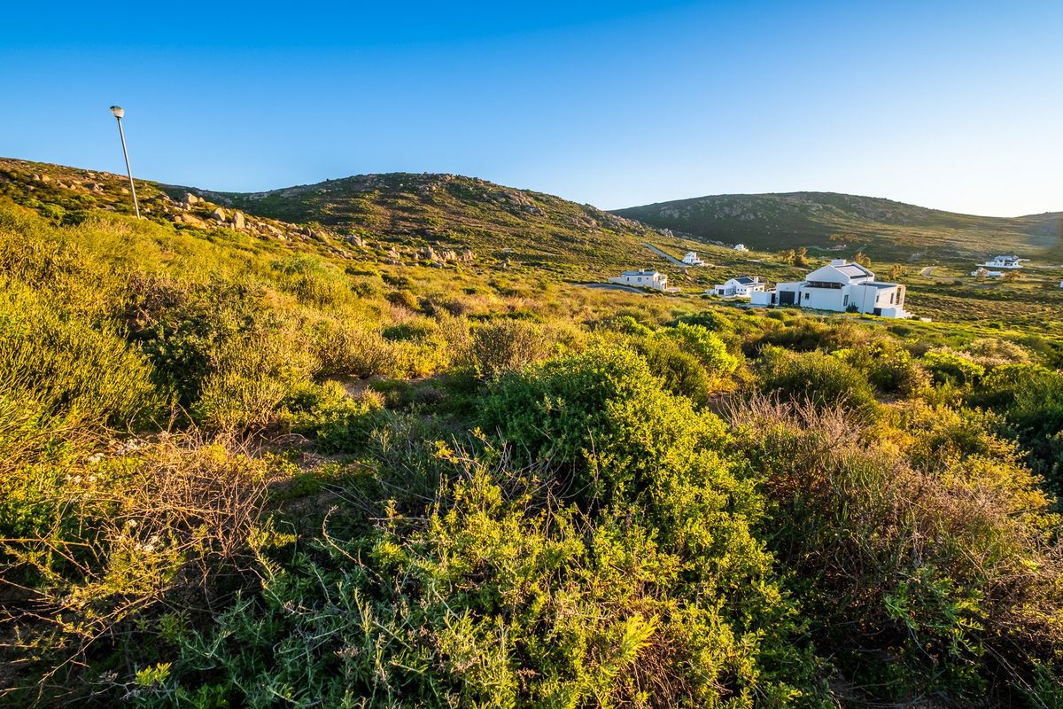 Plant the roots for your future freedom today by securing an ocean-view plot in the West Coast's most unique coastal sanctuary. - Photo 5
