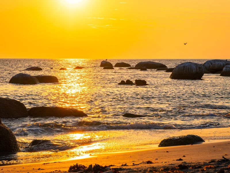 Plant the roots for your future freedom today by securing an ocean-view plot in the West Coast's most unique coastal sanctuary. - Photo 10
