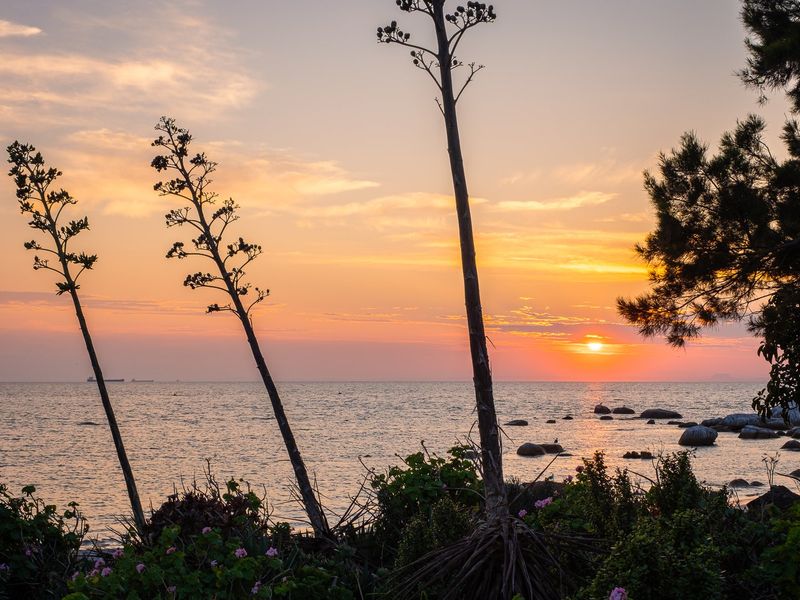 Acquire a share in an exclusive West Coast eco-tourism haven built to deliver steady capital growth and lasting legacy wealth. - Photo 10