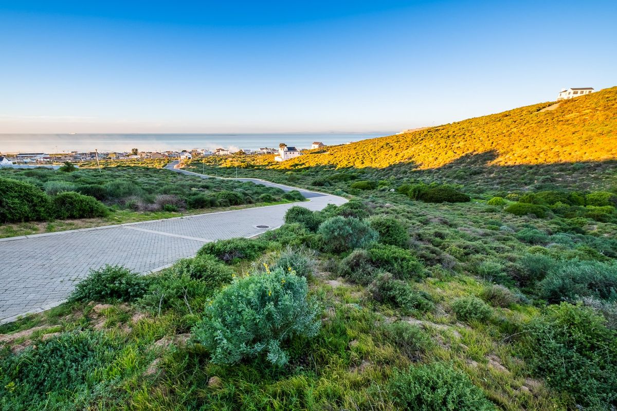A scenic view of the coastal landscape featuring a paved road winding through the natural vegetation towards the ocean.