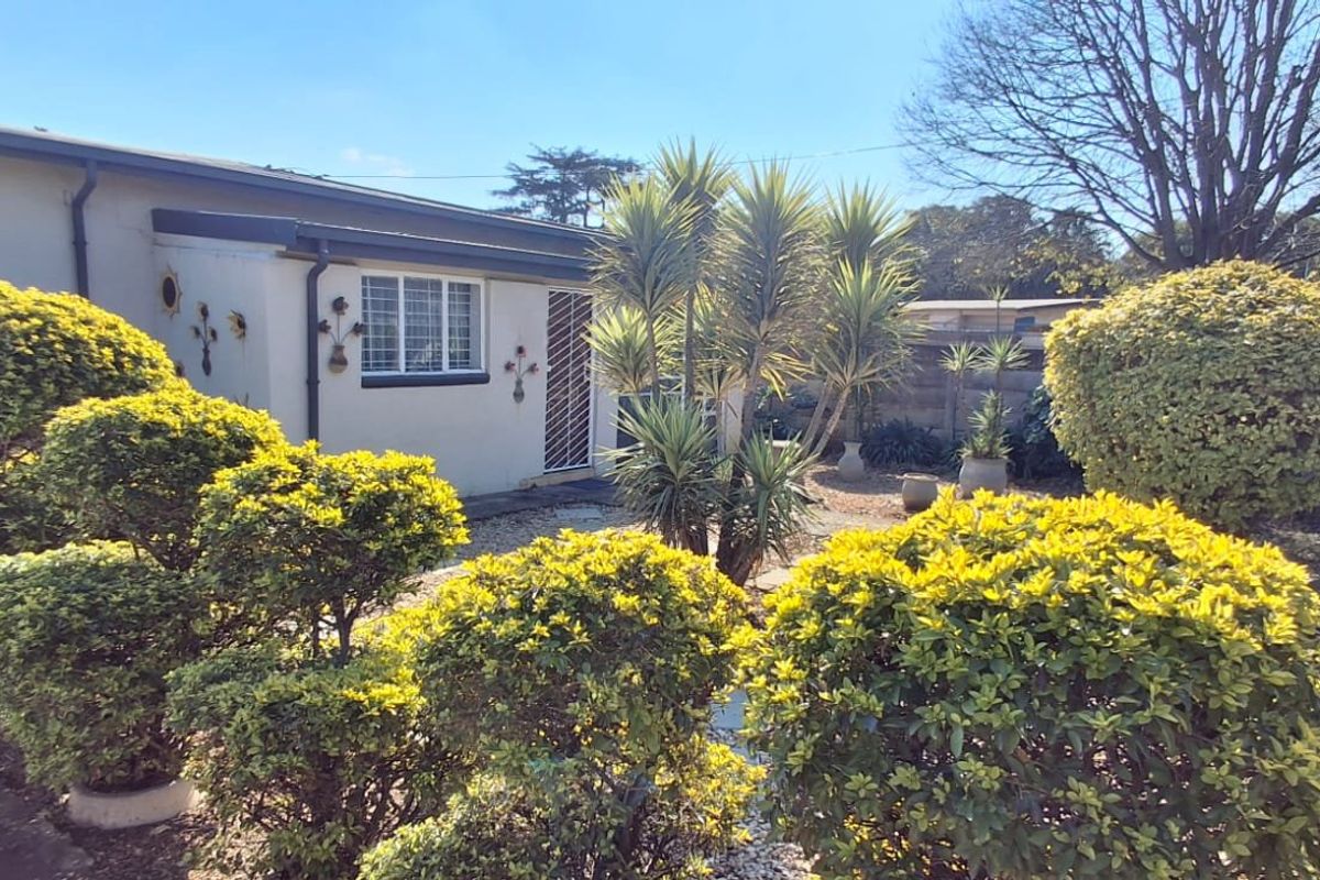 A view of the rear exterior of the property featuring a paved area, established garden landscaping, and secure metal perimeter fencing.