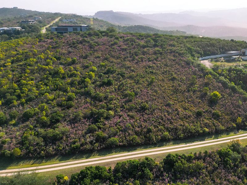 Impressive Pezula Phase 3 Plot - Photo 7