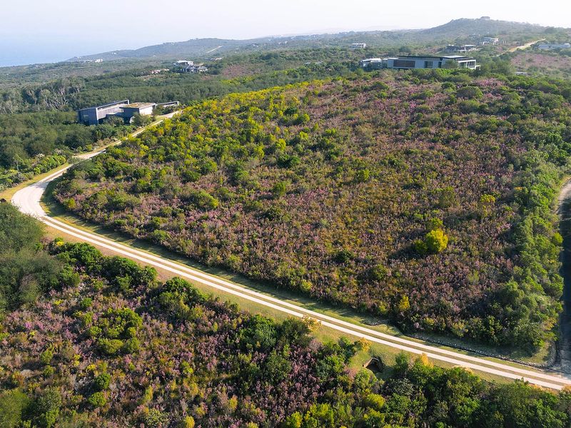 Impressive Pezula Phase 3 Plot - Photo 6