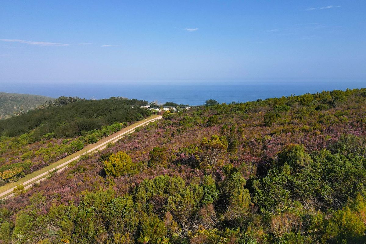 An aerial view of a vacant residential plot featuring native coastal vegetation, a gravel access road, and expansive ocean views.