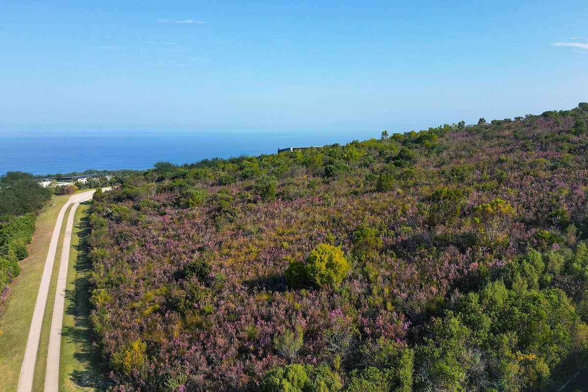An aerial view of a vacant residential plot featuring natural coastal vegetation and a paved driveway leading towards the ocean.