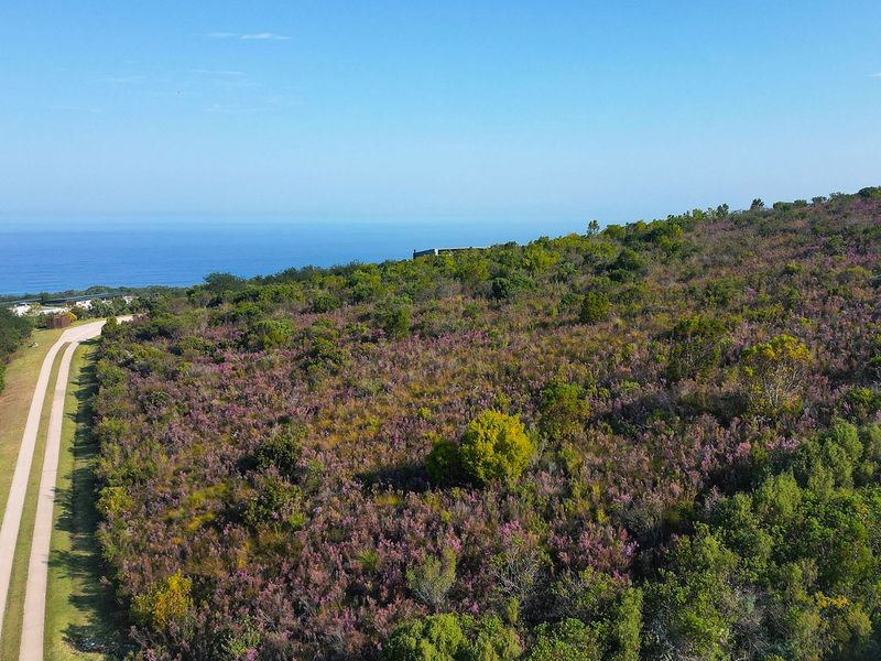 Impressive Pezula Phase 3 Plot - Photo 4