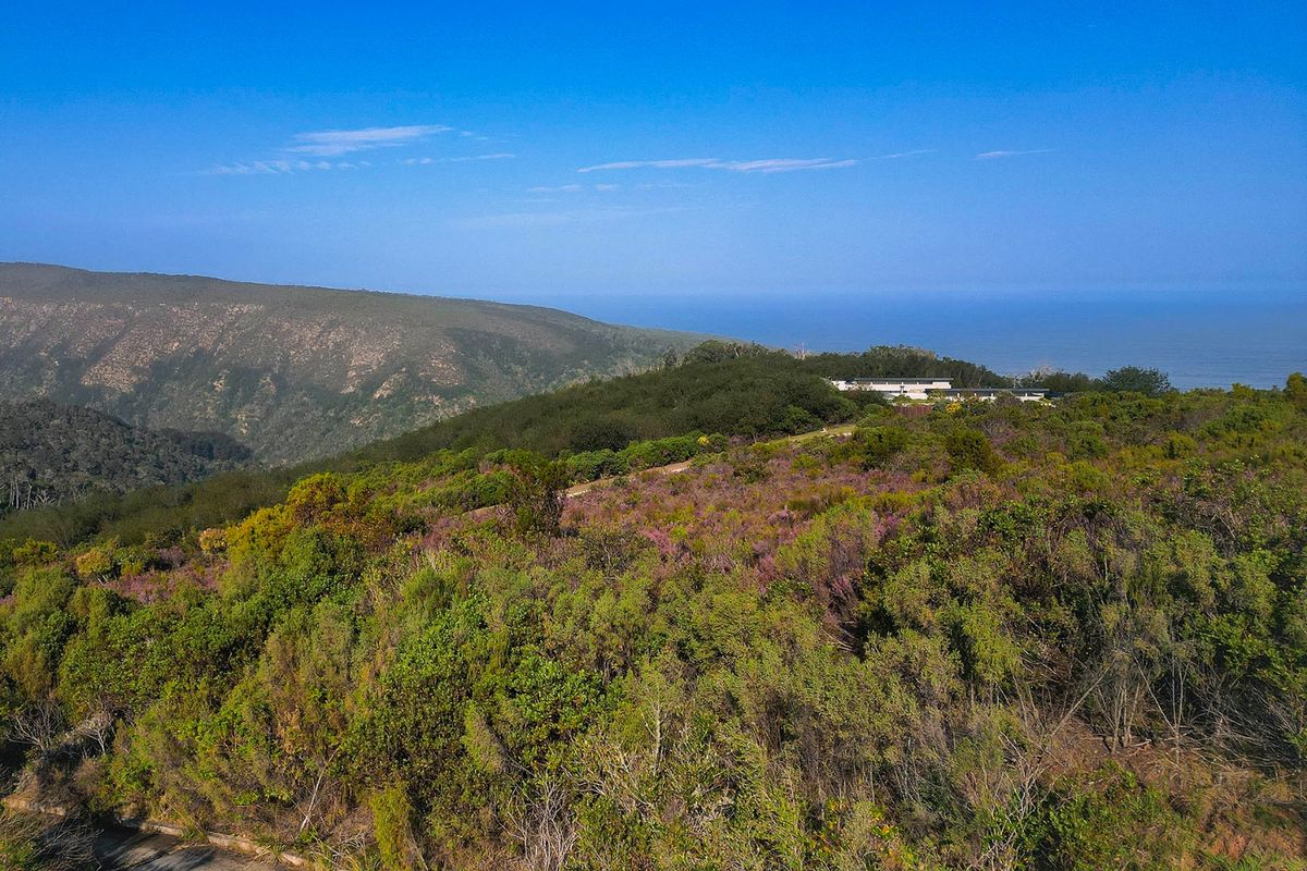 An aerial view of a vacant residential plot featuring natural coastal vegetation and scenic landscape views.