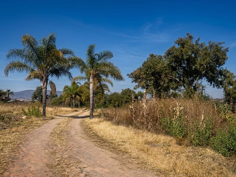 PRIME  PROPERTY IN BLUE HILLS!! - Photo 2