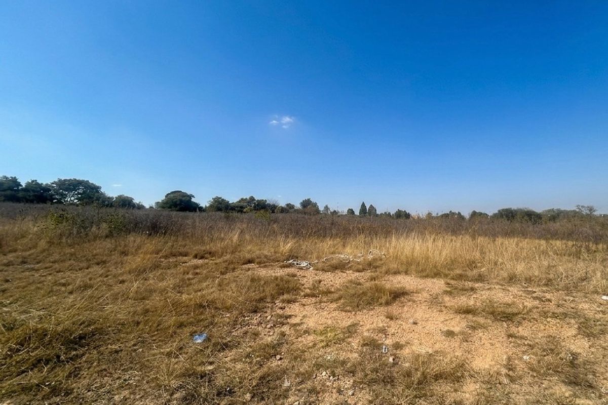 A view of a vacant residential plot featuring natural dry grass and surrounding vegetation.