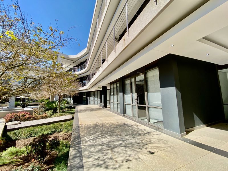 Prime Office Space Available In Irene - Photo 3