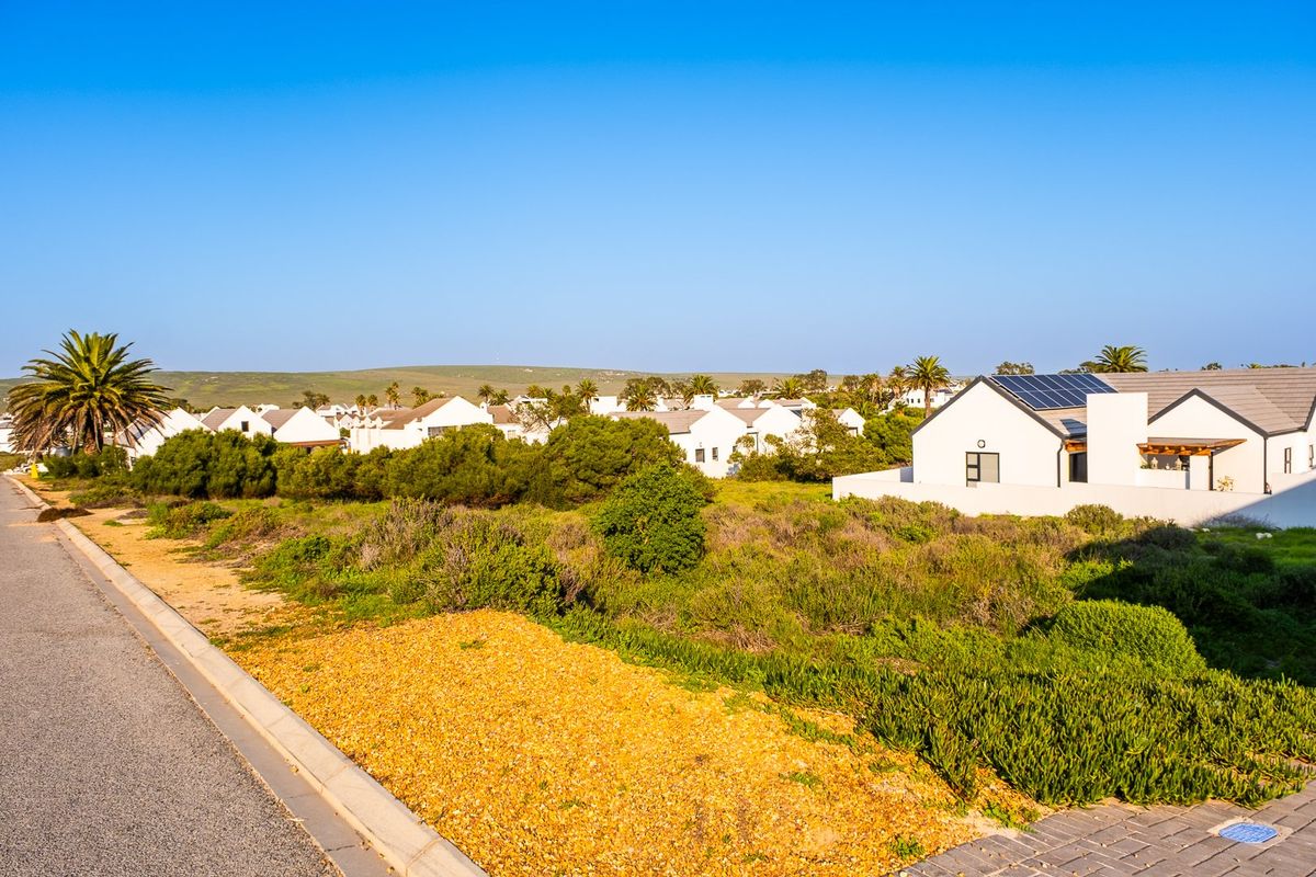 A street-level view of a residential development featuring paved roads, concrete curbing, and surrounding native vegetation in a coastal estate setting.