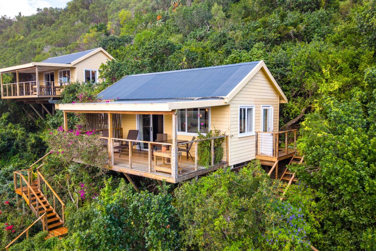 Elevated timber cabin nestled in lush greenery, featuring a spacious wooden deck, corrugated metal roof, and scenic natural surroundings.