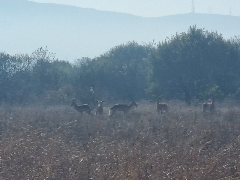Last Available Corner Stand in La Camargue Private Country Estate - Photo 6