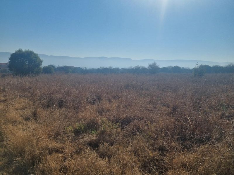Last Available Corner Stand in La Camargue Private Country Estate - Photo 4