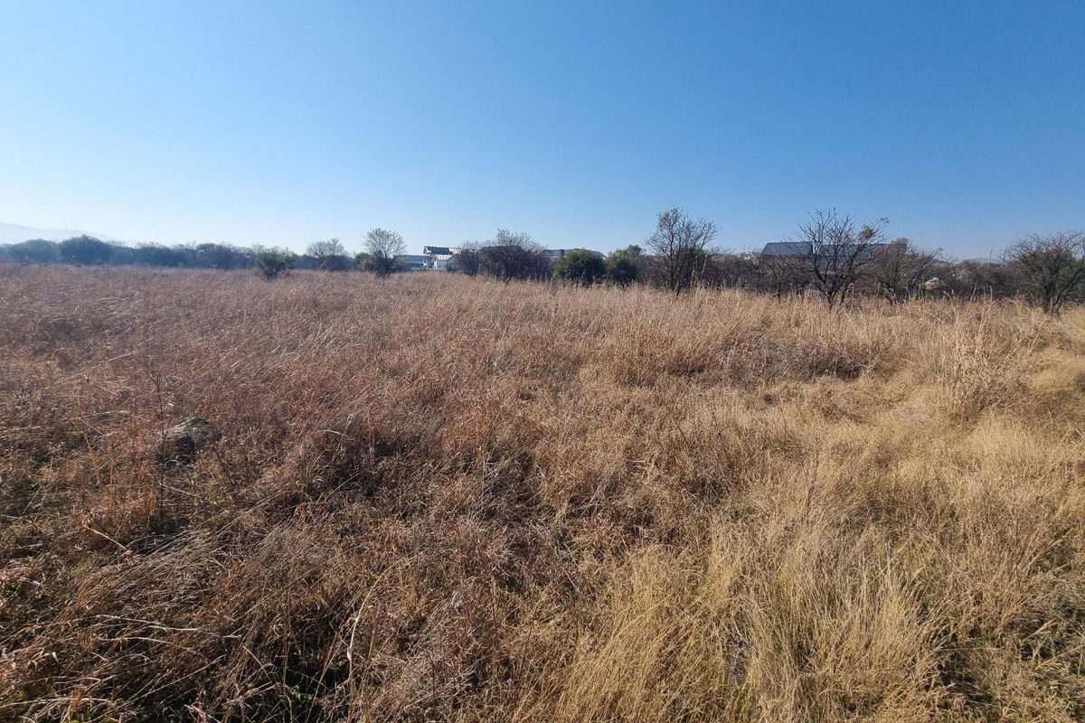 A wide-angle view of a vacant residential plot featuring dry, natural grass and scattered indigenous shrubs under a clear blue sky.