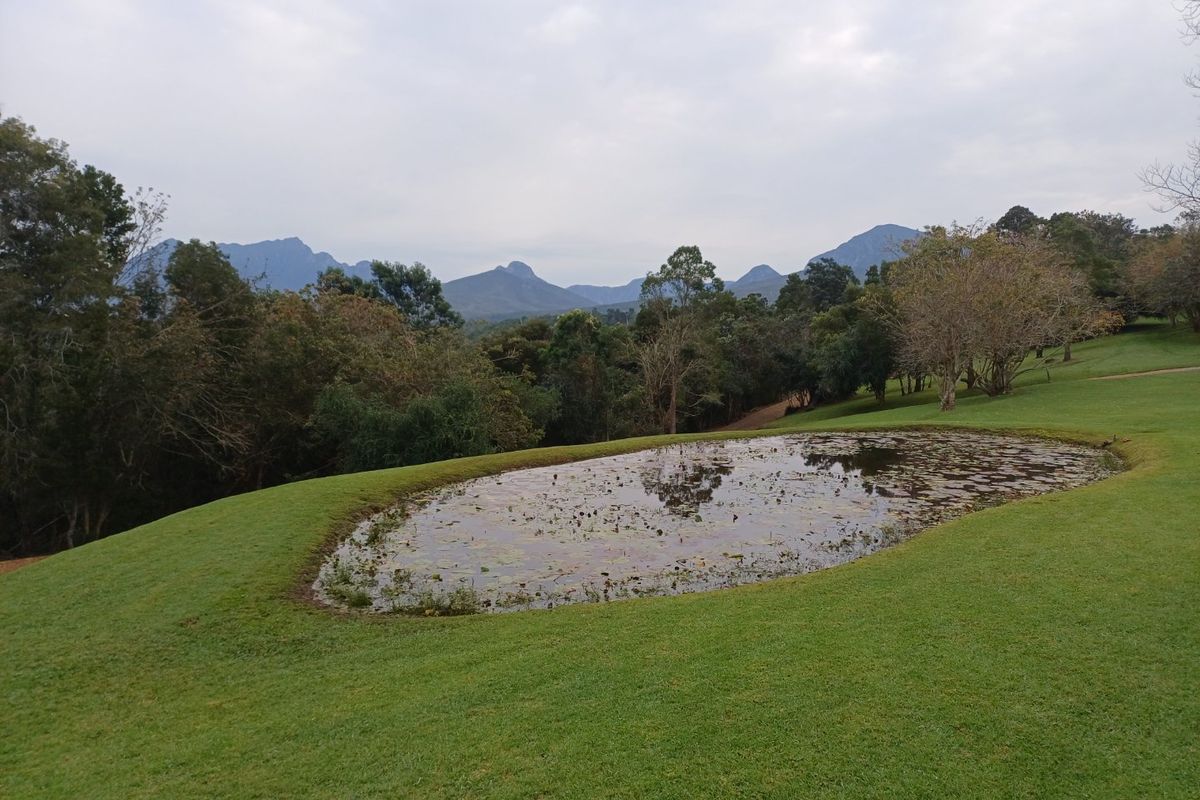 ESCAPE BACK TO NATURE IN WILDERNESS HEIGHTS - Photo 2