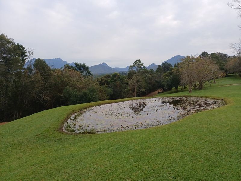 ESCAPE BACK TO NATURE IN WILDERNESS HEIGHTS - Photo 2