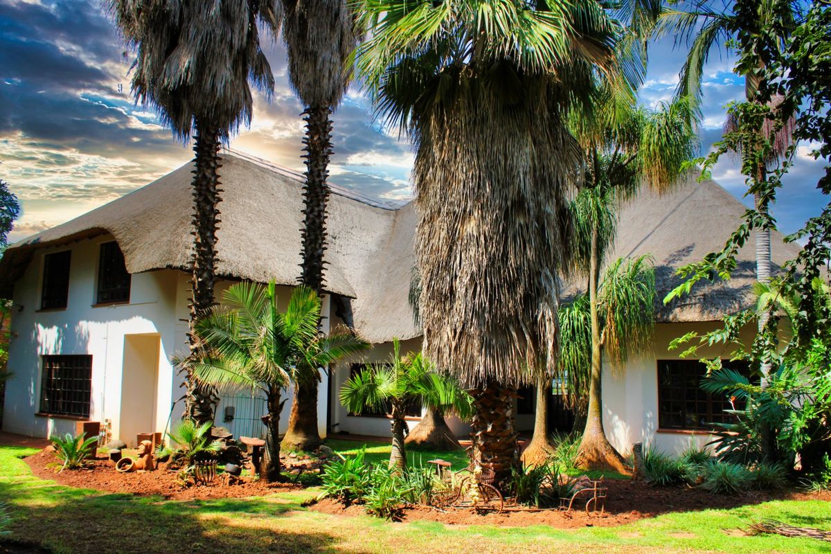 A rear view of a traditional house featuring a thatched roof, white exterior walls, and a mature garden with large palm trees.