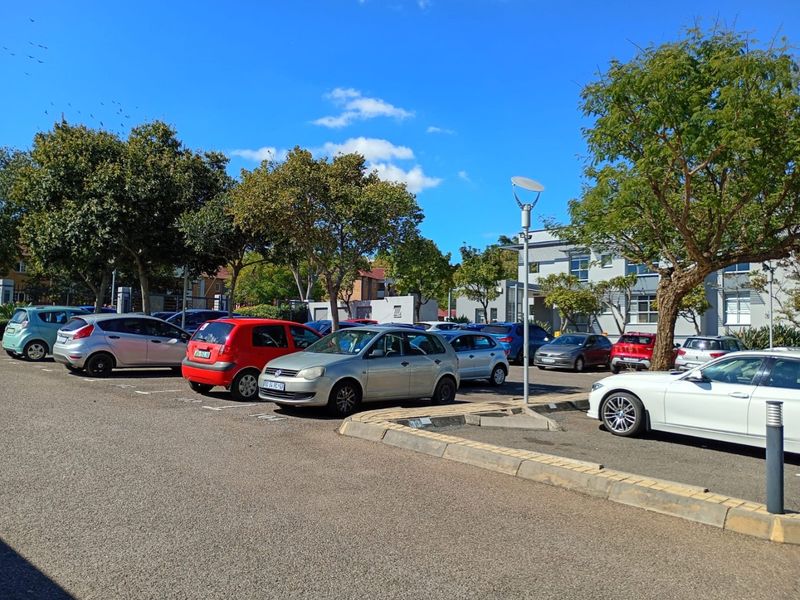 A well-maintained commercial parking area featuring asphalt surfacing, concrete curbing, and established trees, providing convenient access to the property.
