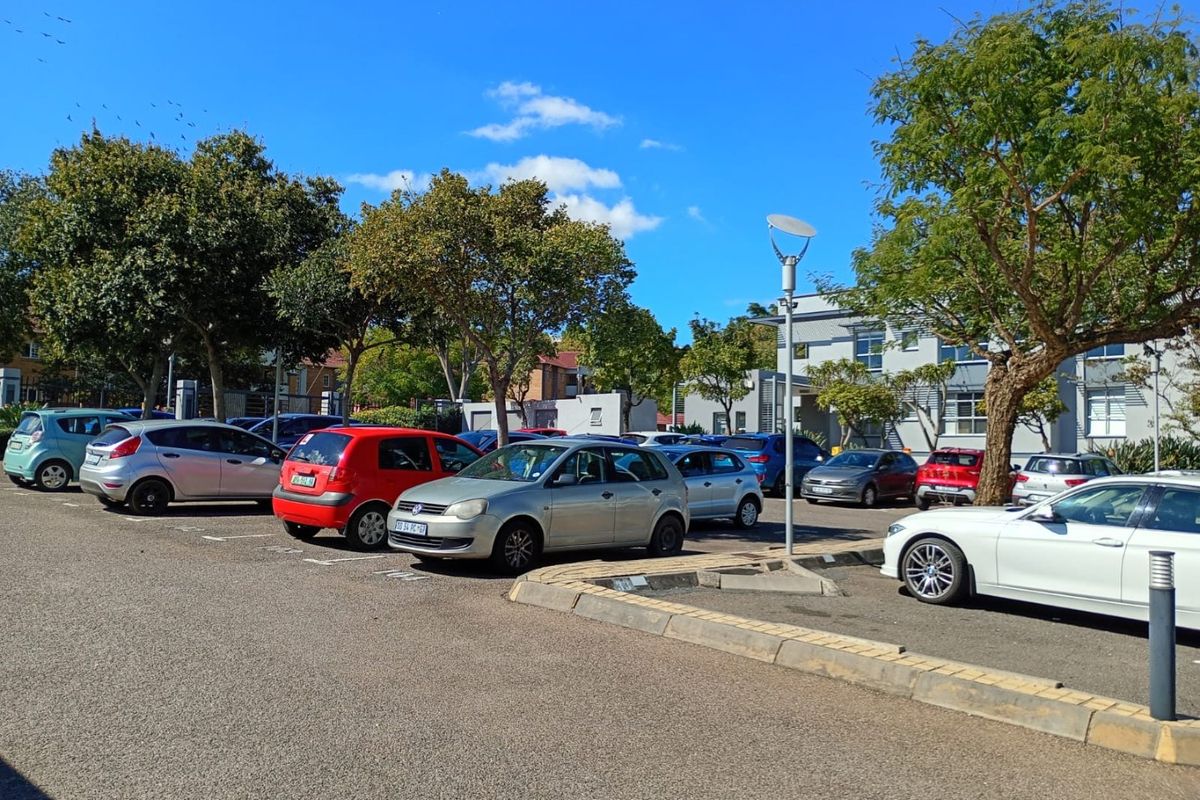 A well-maintained commercial parking area featuring asphalt surfacing, concrete curbing, and established trees, providing convenient access to the property.
