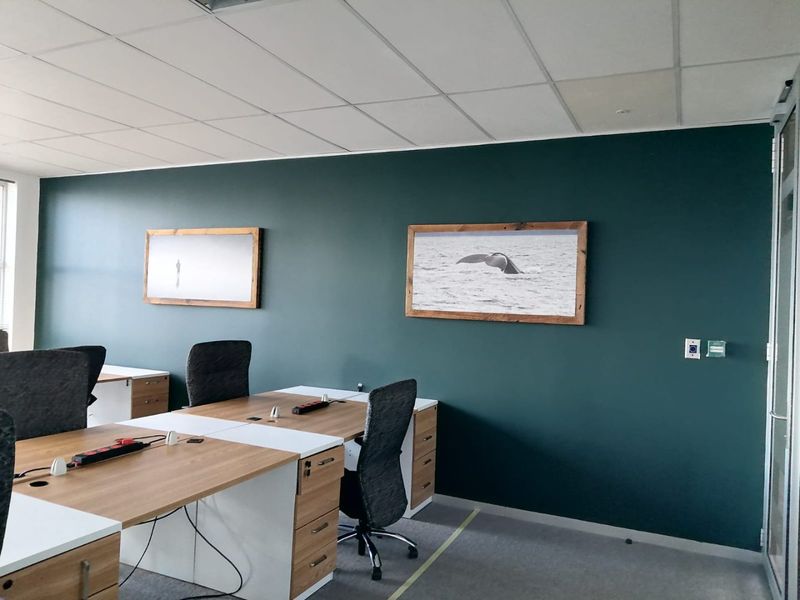 A modern office space featuring a dark green accent wall, suspended ceiling tiles, and carpeted flooring, providing a professional work environment.