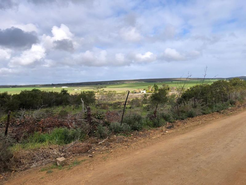 A scenic view of the expansive farm landscape and surrounding fields, captured from an adjacent dirt road.