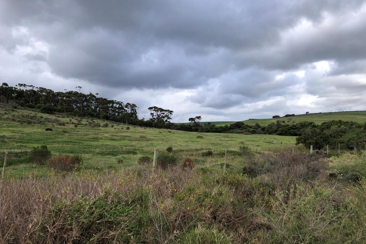 Expansive view of open farm grazing land with natural vegetation and perimeter wire fencing under a cloudy sky.