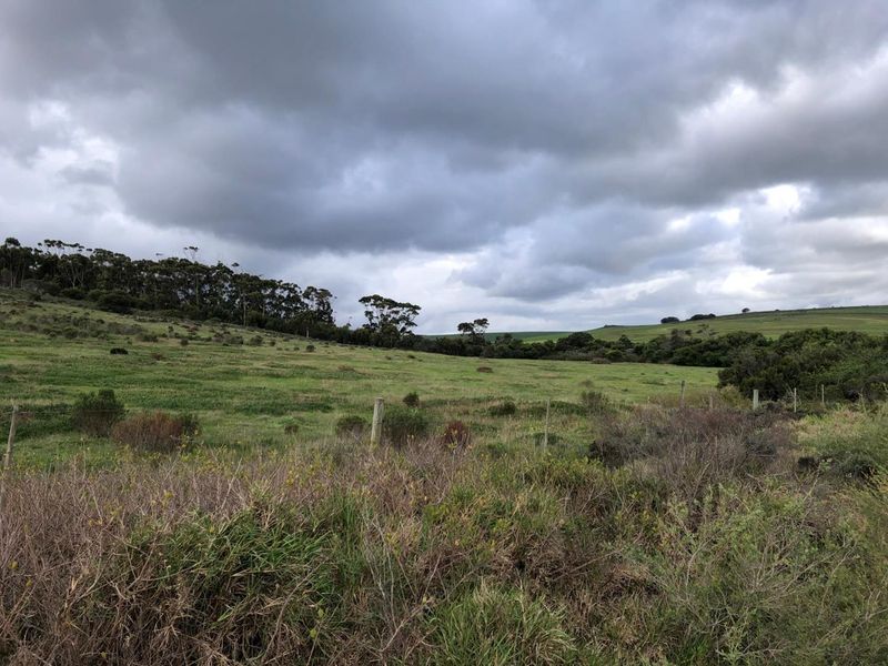 Expansive view of open farm grazing land with natural vegetation and perimeter wire fencing under a cloudy sky.