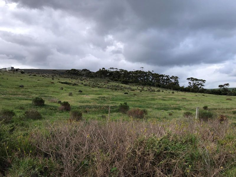 A wide-angle view of the expansive farm landscape featuring rolling green pastures, native vegetation, and distant tree lines under a cloudy sky.