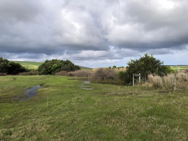 Expansive open farm land featuring natural grass, mature shrubbery, and basic wire fencing under a cloudy sky.