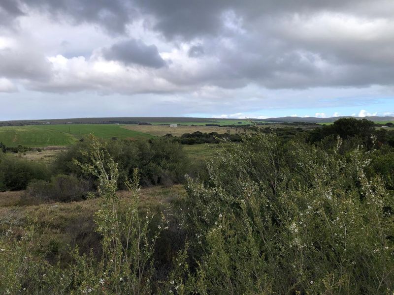 Expansive rural landscape view showcasing rolling green fields and natural vegetation under a cloudy sky.