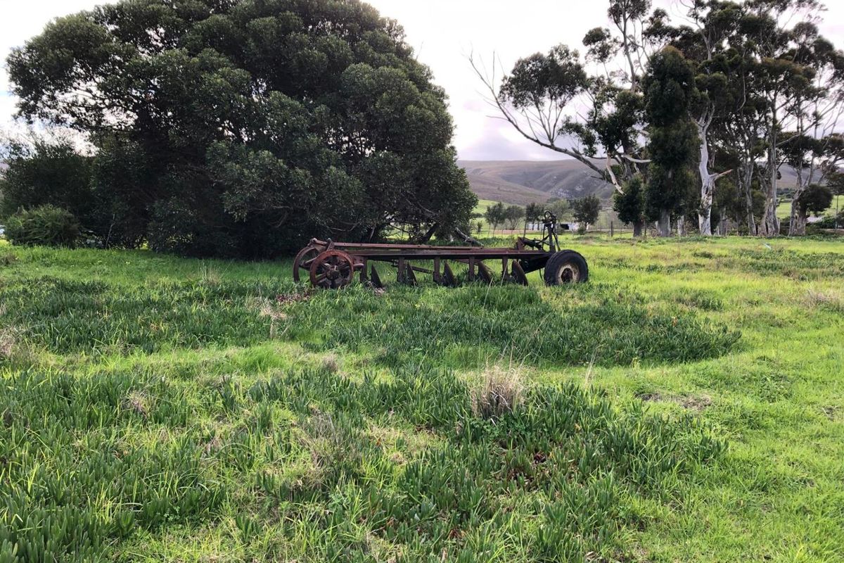 A view of the expansive farm grounds featuring mature trees and open pasture land.