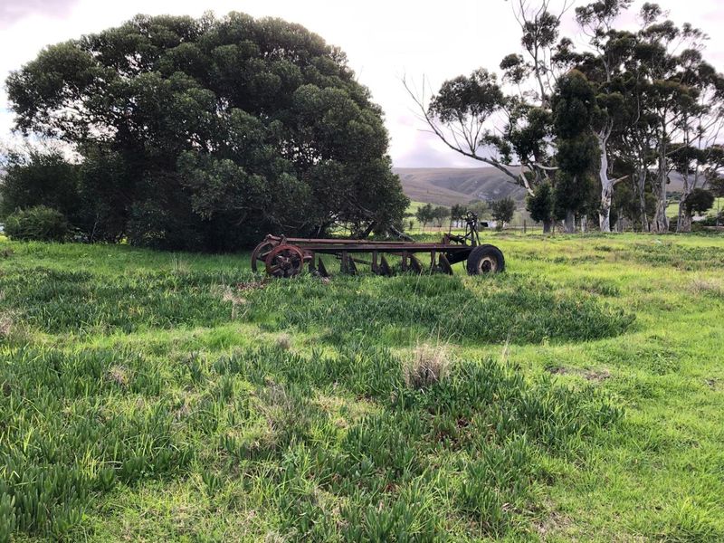 A view of the expansive farm grounds featuring mature trees and open pasture land.