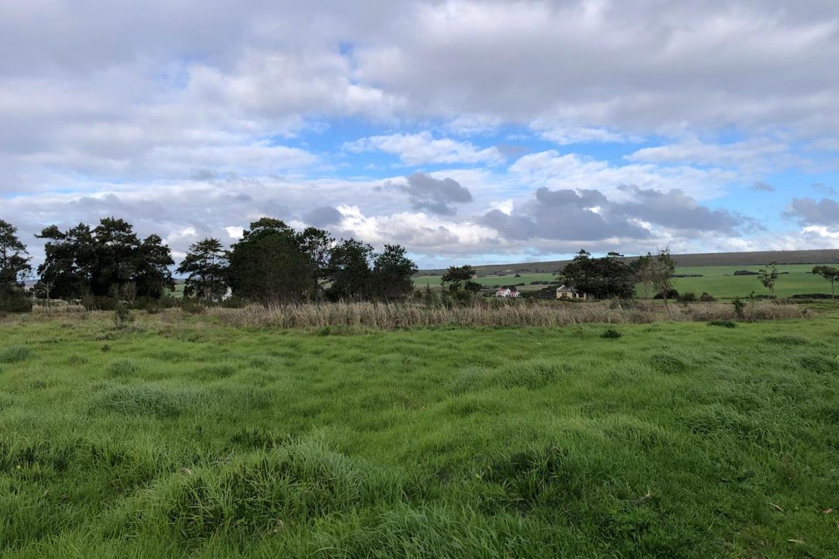 A wide-angle view of the expansive green pasture and rural landscape surrounding the farm property.