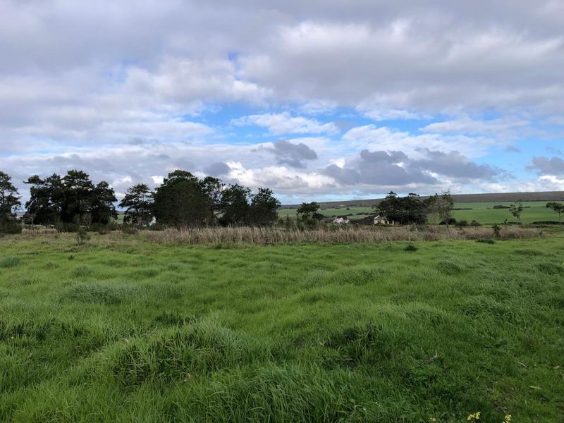 A wide-angle view of the expansive green pasture and rural landscape surrounding the farm property.
