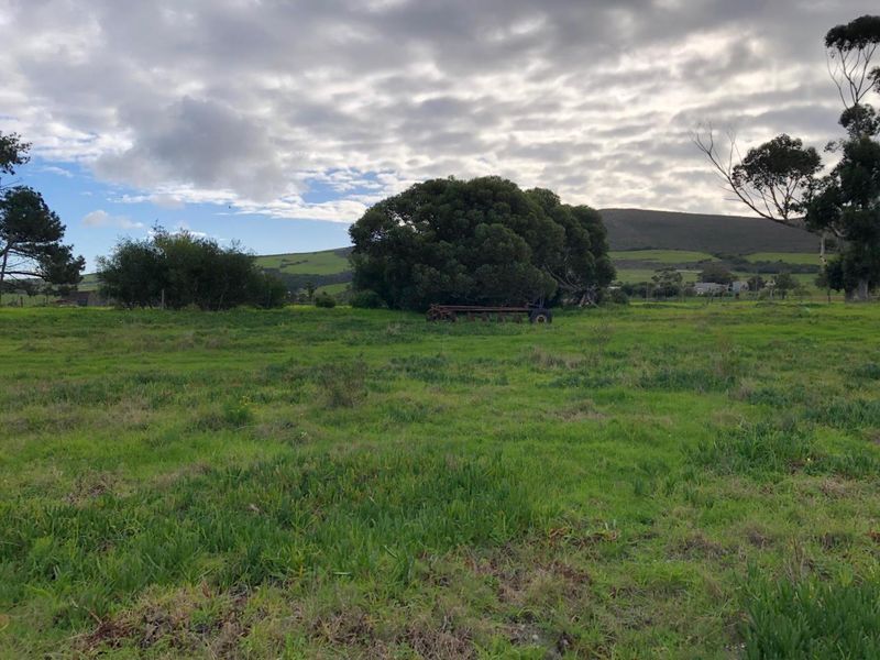 Expansive open pasture land featuring mature trees and scenic rolling hills in the background, suitable for agricultural or lifestyle use.