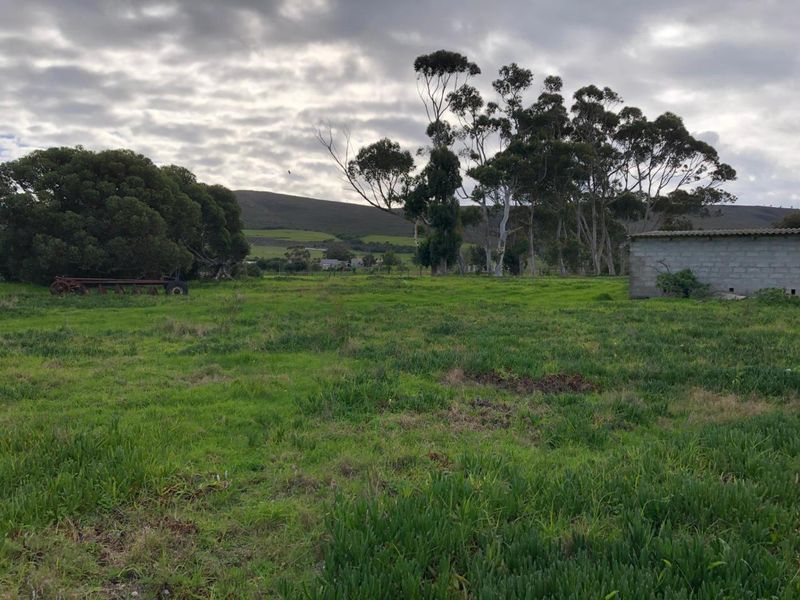 Expansive open farm land featuring mature trees, a concrete block outbuilding, and scenic mountain views in the distance.