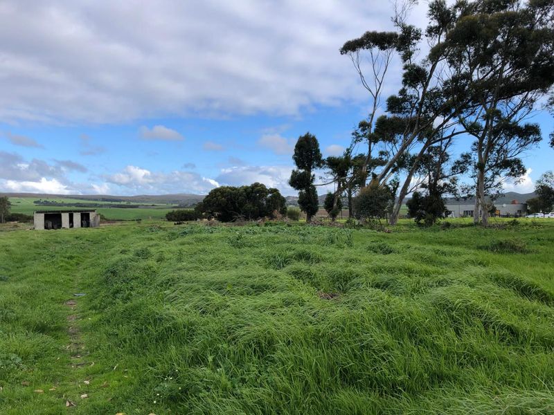 Expansive open farm land featuring mature trees and a small, rustic outbuilding set against a scenic rural landscape.