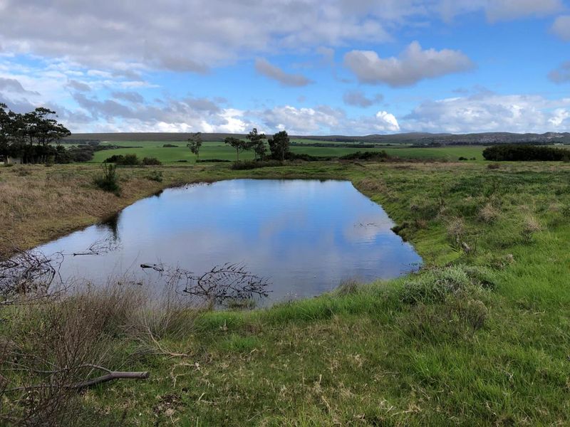 A scenic view of a farm dam surrounded by open green pastures and rolling hills under a blue sky.