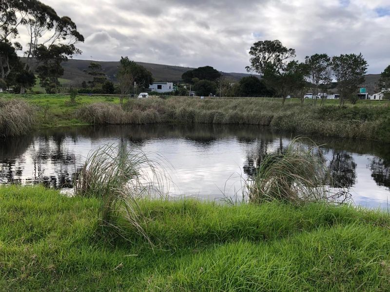 A scenic view of a natural pond on the farm property, surrounded by lush green grass and native vegetation under a cloudy sky.