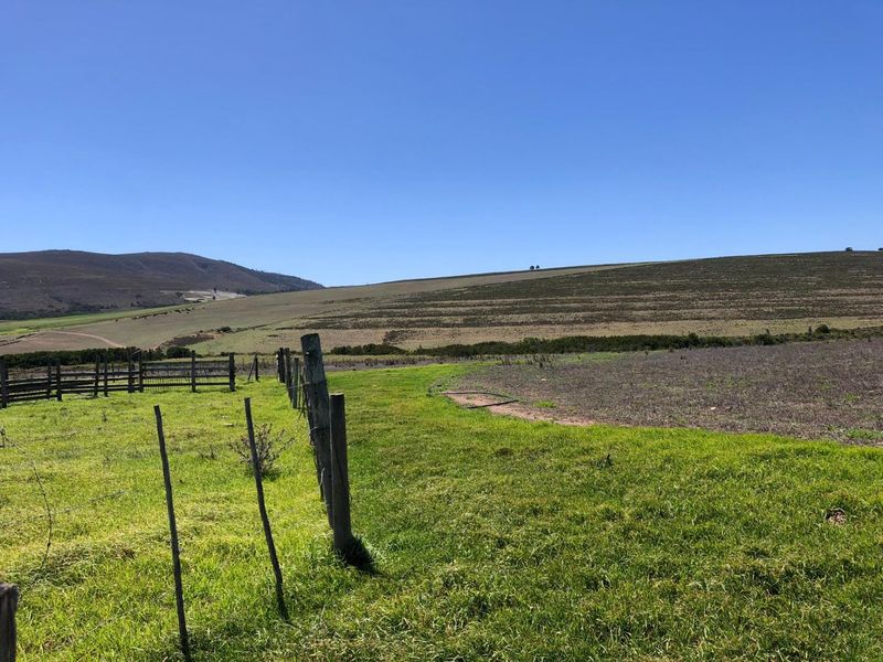 Farming Opportunity in Baardskeerdersbos - Photo 5