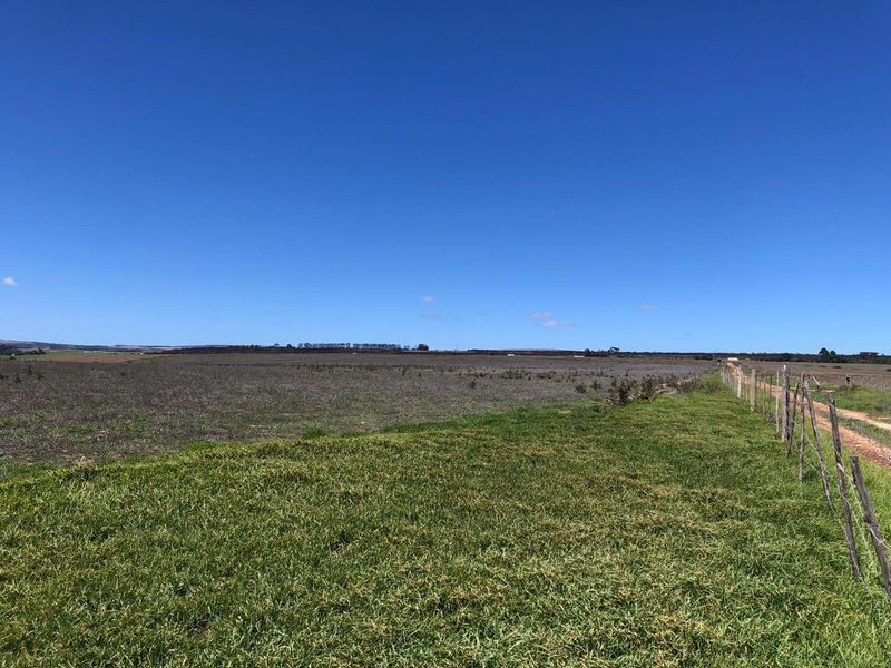 Farming Opportunity in Baardskeerdersbos - Photo 4