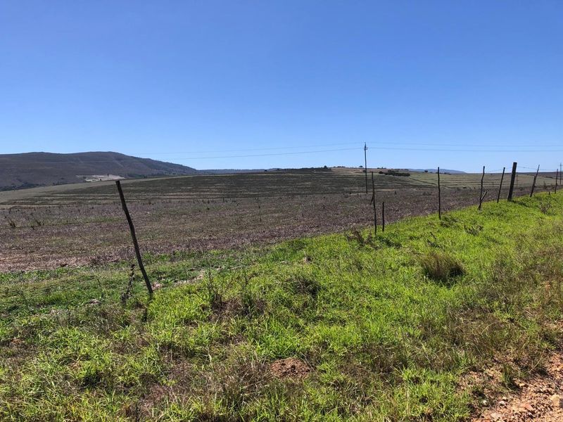 Farming Opportunity in Baardskeerdersbos - Photo 7