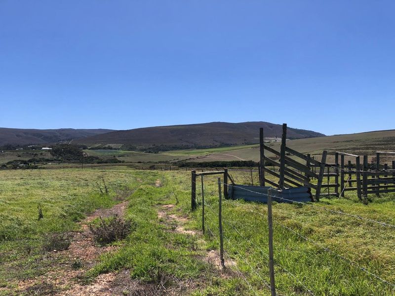 Farming Opportunity in Baardskeerdersbos - Photo 1