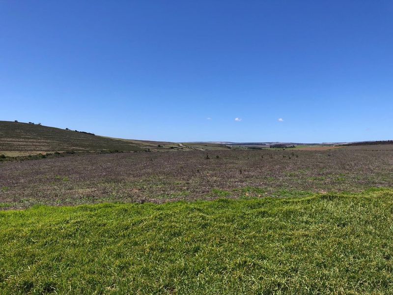 Farming Opportunity in Baardskeerdersbos - Photo 3