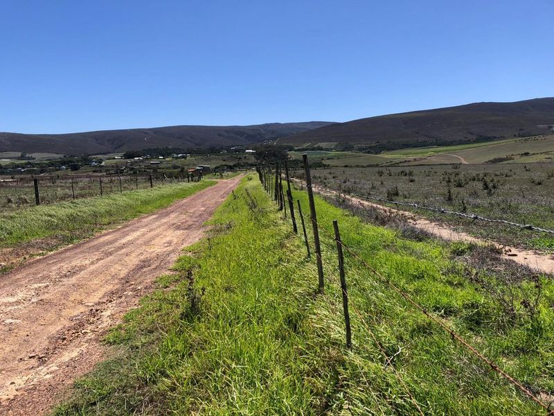 Farming Opportunity in Baardskeerdersbos - Photo 2