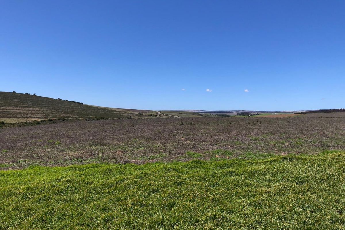Expansive view of open farmland and rolling hills under a clear blue sky.
